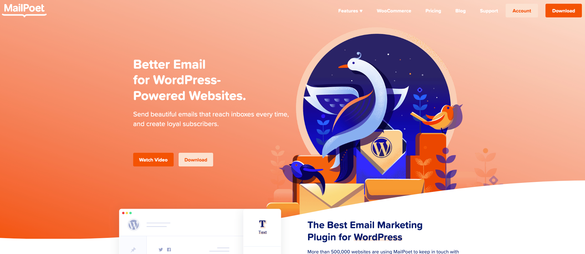 The Best Email Marketing Plugin for WordPress